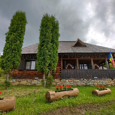 Casuta Lu' Liviu Villa Borşa Dış mekan fotoğraf