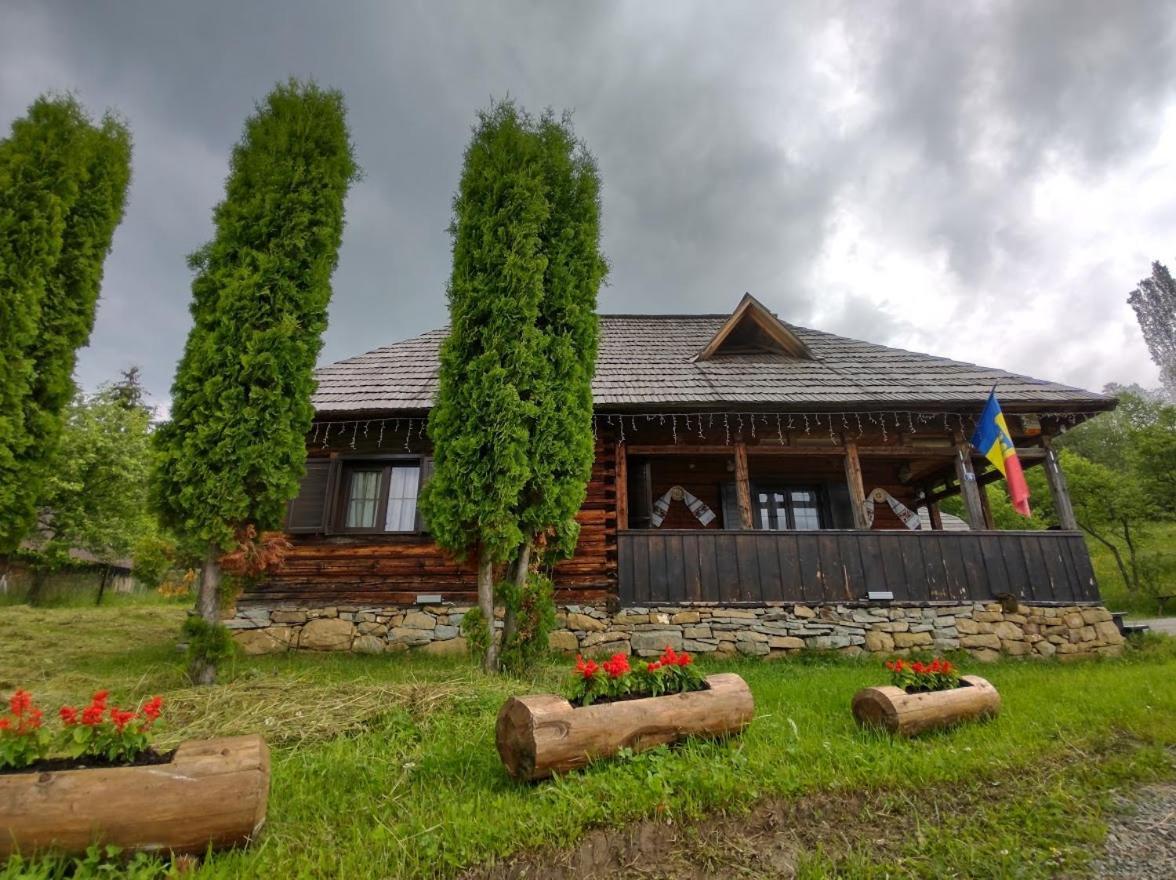 Casuta Lu' Liviu Villa Borşa Dış mekan fotoğraf