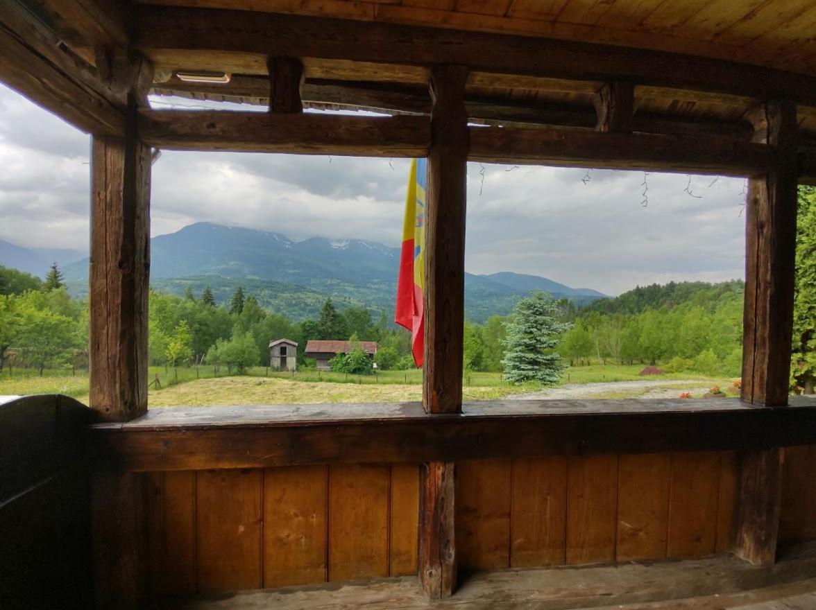 Casuta Lu' Liviu Villa Borşa Dış mekan fotoğraf