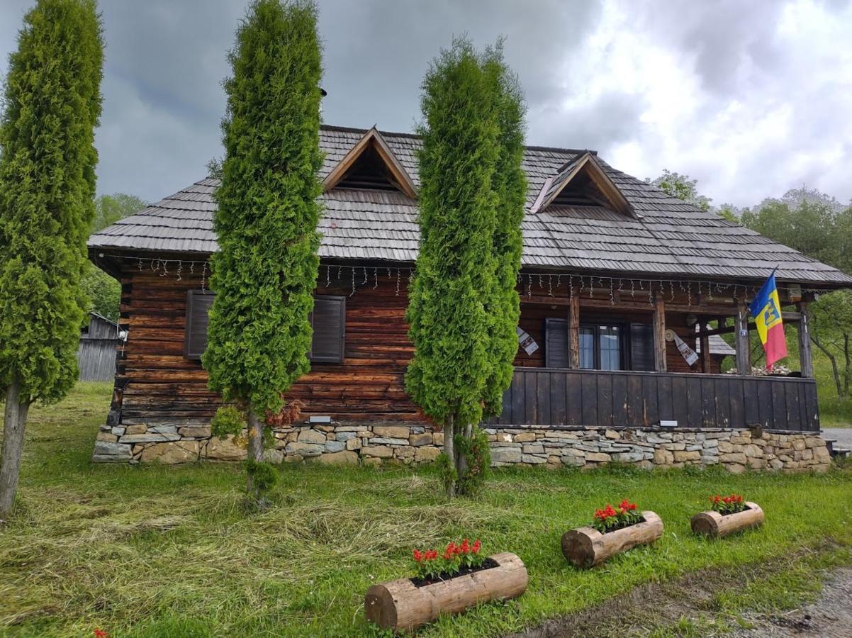 Casuta Lu' Liviu Villa Borşa Dış mekan fotoğraf